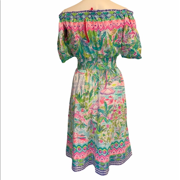 Lilly Pulitzer dress - Picture 6 of 6